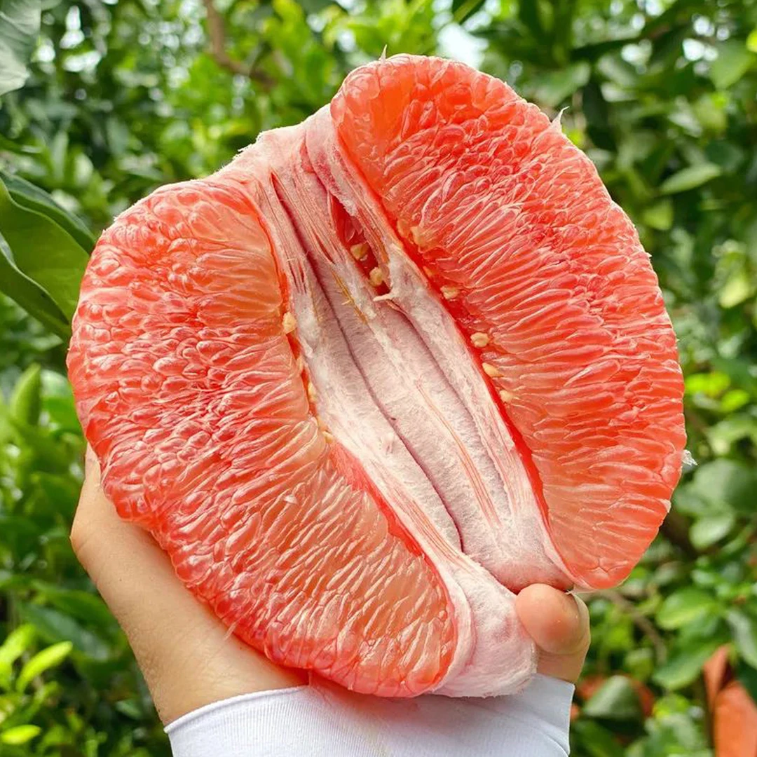 新鲜水果福建平和三红蜜柚子5斤包邮-辞水5-7天皮软皱吃口感更好