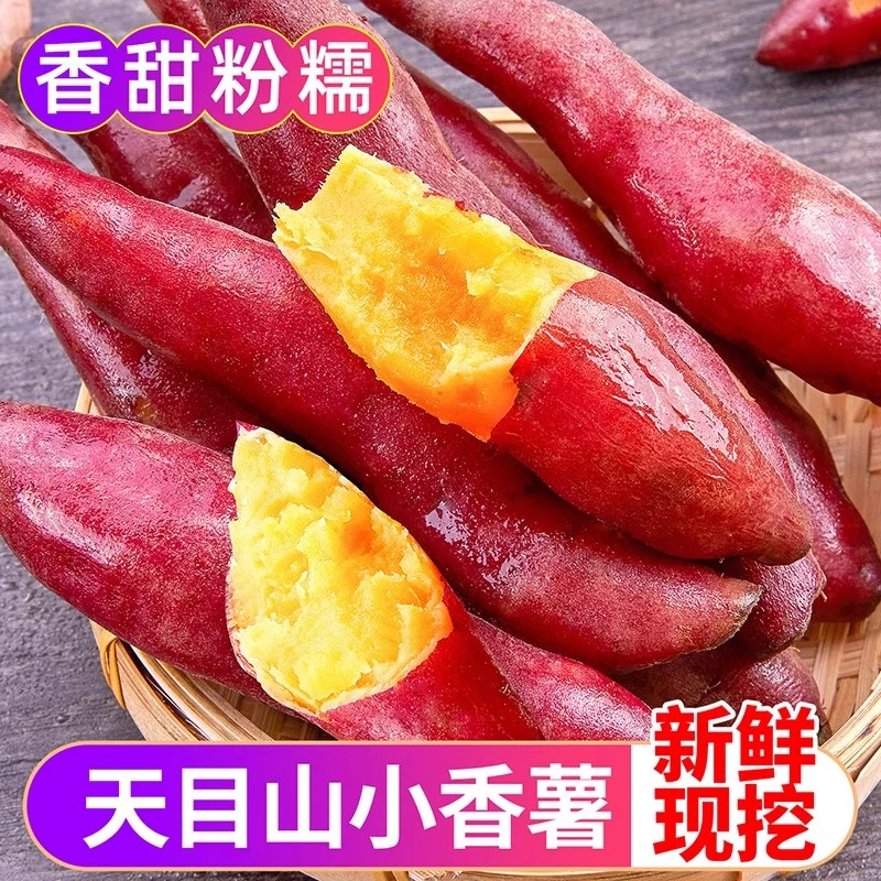 【5斤装】正宗天目山小香薯超粉糯新鲜黄心板栗红薯地瓜番薯