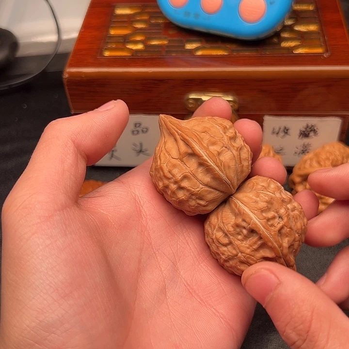 太***陽55555555555555555555555
