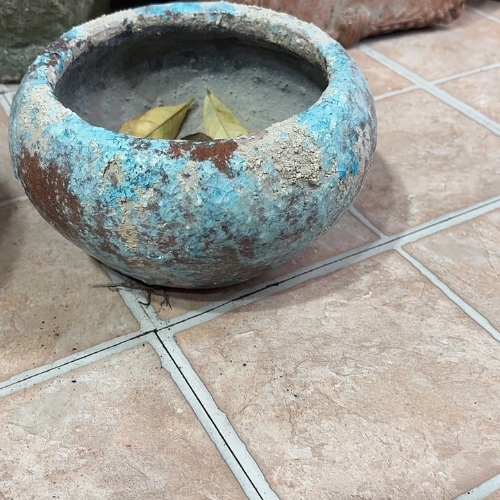 许纯的花房 蓝色孤品 007