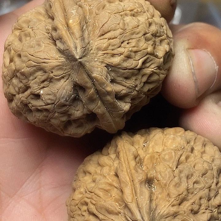 把件文玩核桃云南铁核桃A73