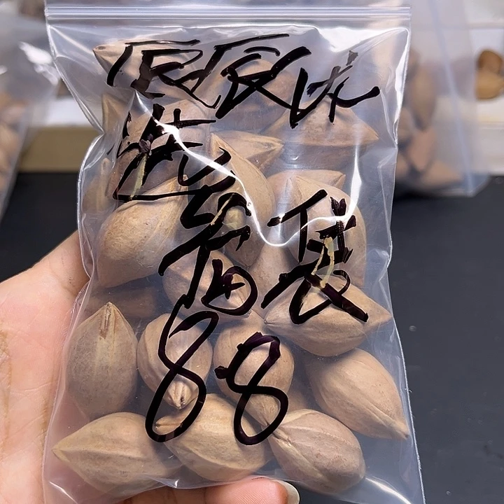 辰***选手串/手链橄榄核1111