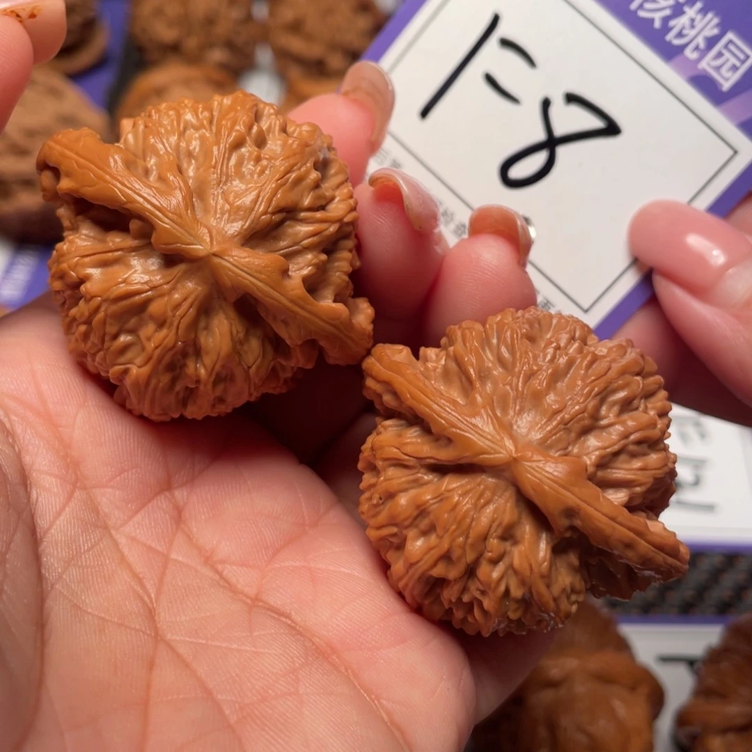 把件桃核8号白狮子44