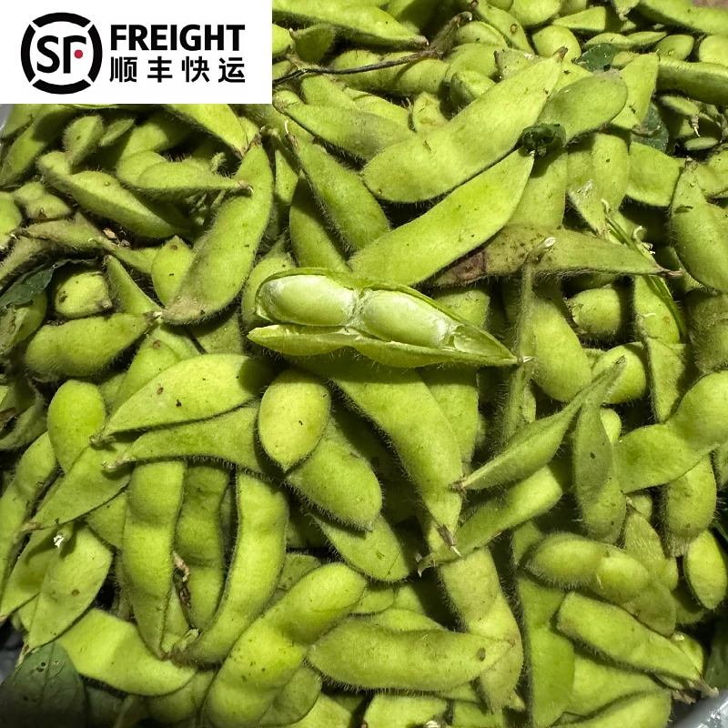 毛豆江西本地农民家自种青豆当天现摘现发味美鲜