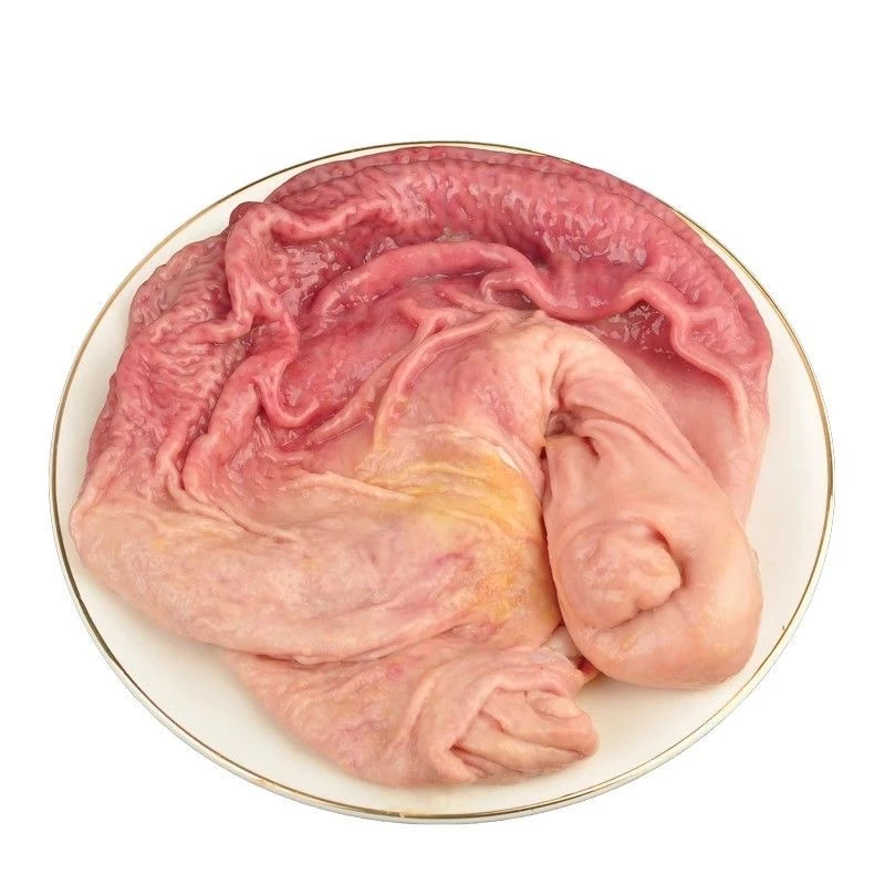 精选猪肚新鲜整个无油圆肚速冻真空托盘装猪大肚生肚餐饮商用批发