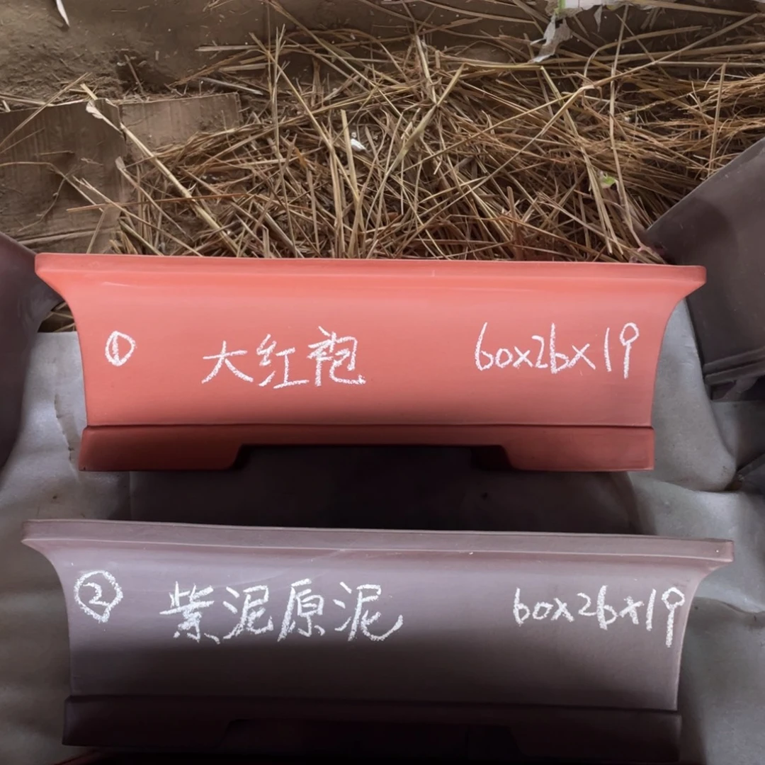 处理1-2号大红袍紫泥合计2只