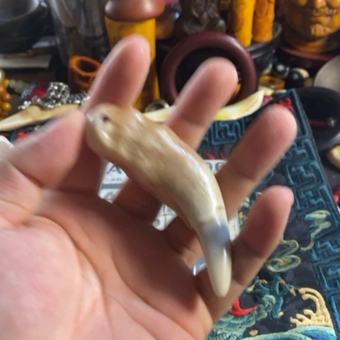 瓷片寻呼台的人也太少见啦