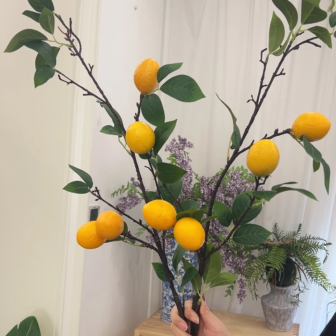 抖音直播柠檬大支两支