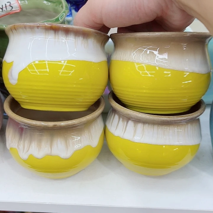 多肉植物陶瓷花瓶