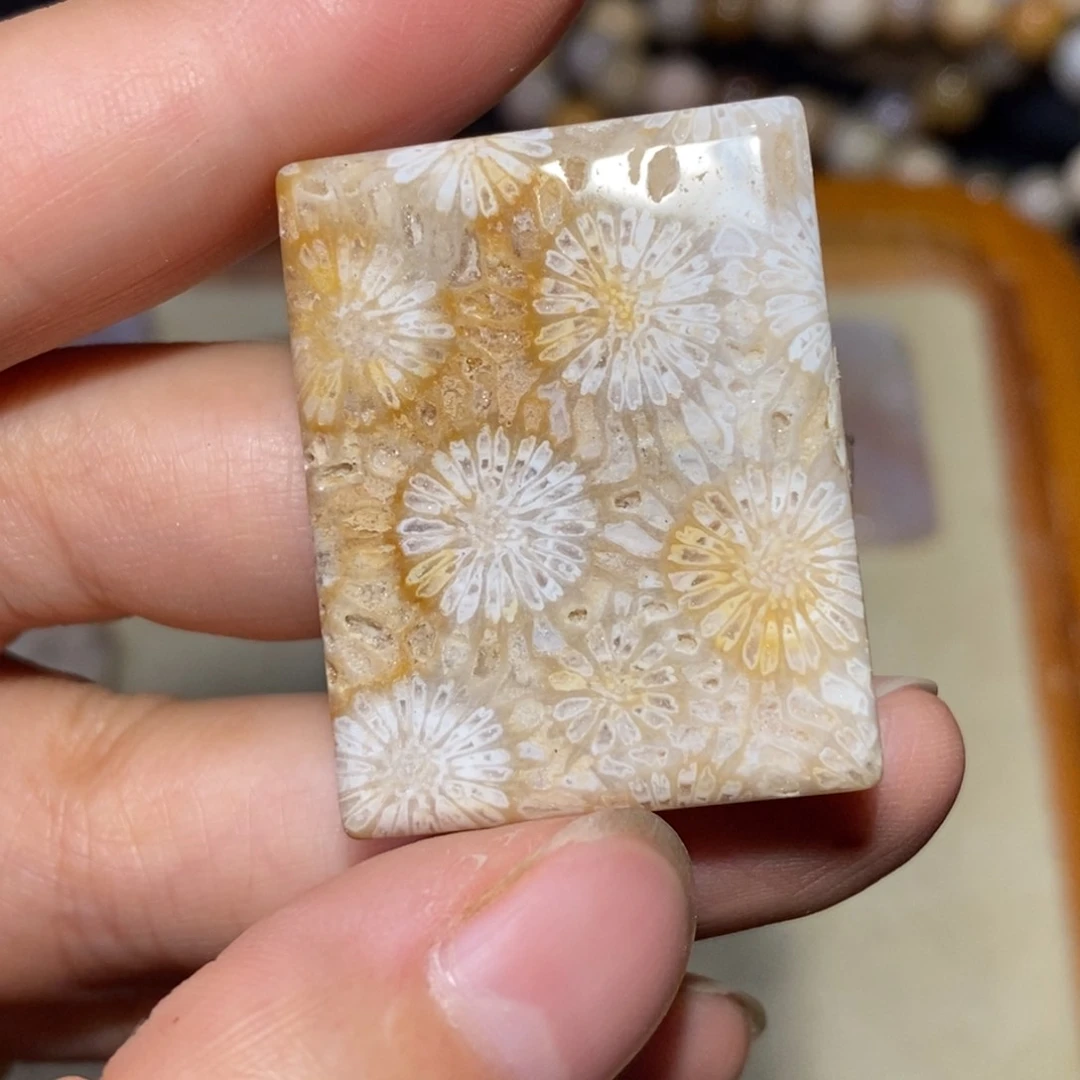 【闪购商品】硅化玉珊瑚玉未镶嵌