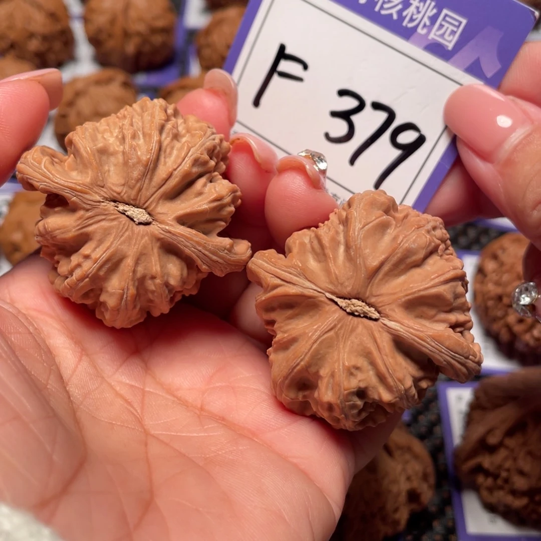 把件桃核379号白狮子44
