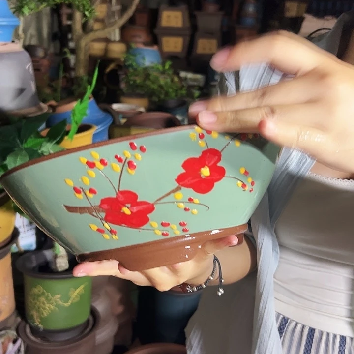 绿斗盆点菜小号×2