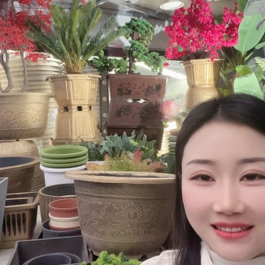 复合凤纹50盆4个 无孔