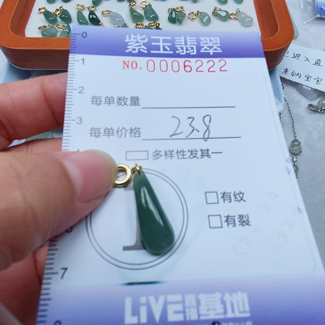 颈饰未镶嵌翡翠冰透随行