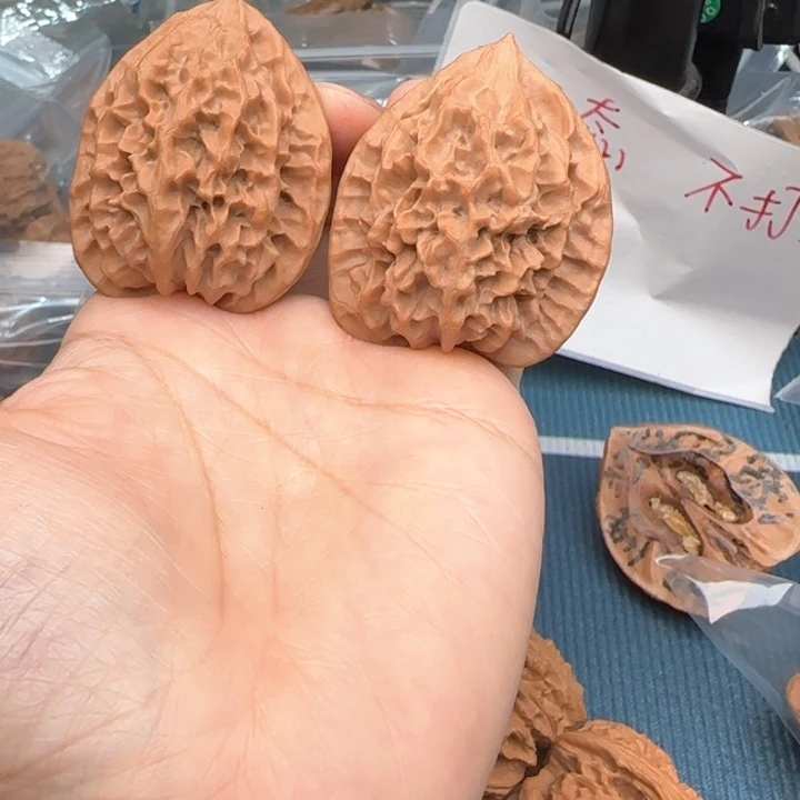 酒***巡文玩核桃吊坠野珊瑚39