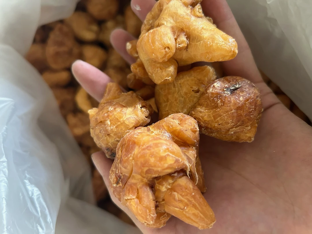 道地江油正宗炮天雄精选大个炮制