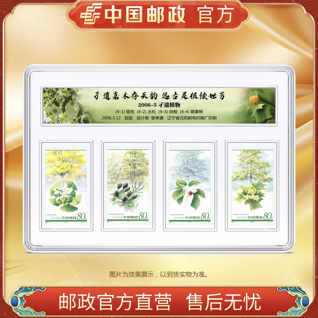 中国邮政官方 2006-5 孑遗植物邮票 4枚