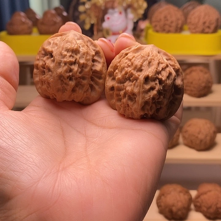 核桃42尺寸的野狼