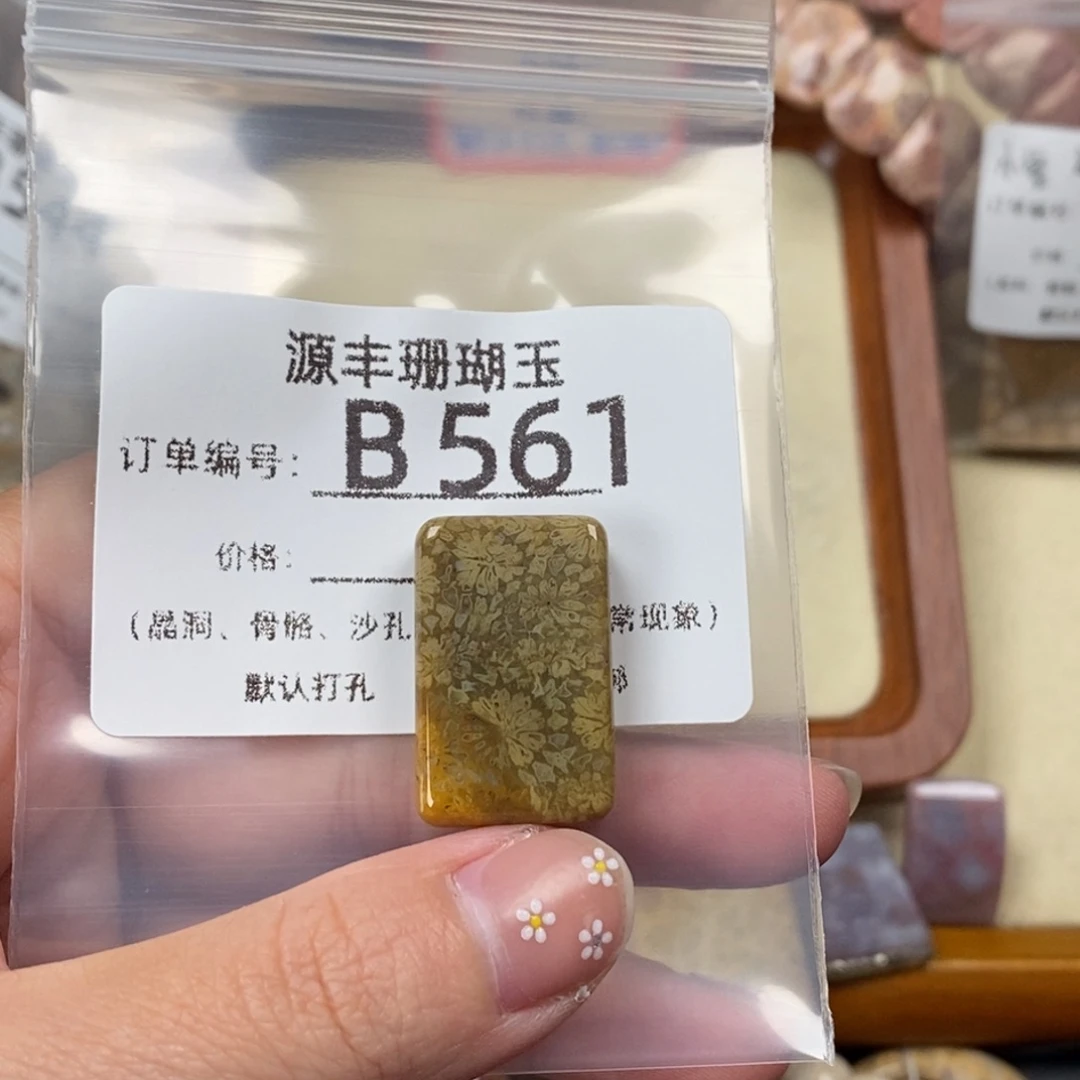 颜***漉硅化玉未镶嵌颈饰