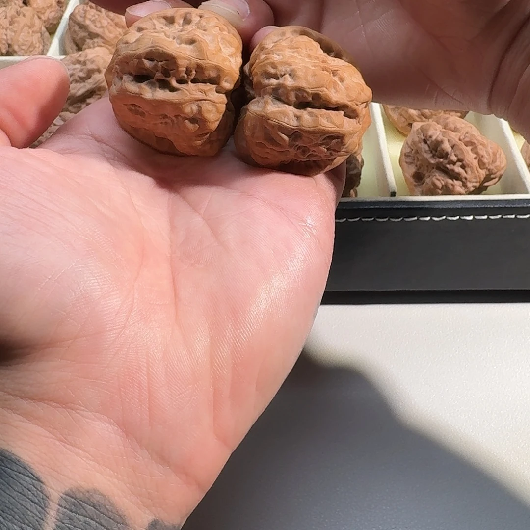 大叶紫檀（黑酸枝木类）
