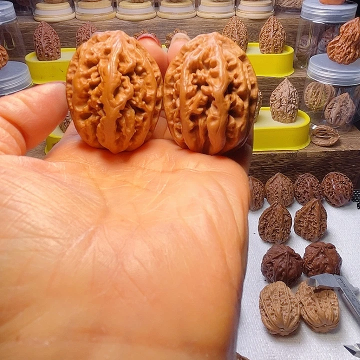 核桃25号车放漏漏漏