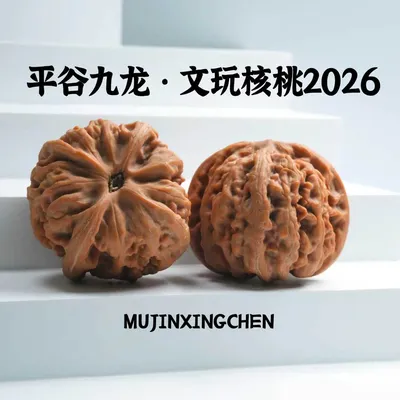 「九龙」2026新果高端平谷九龙文玩核桃全品