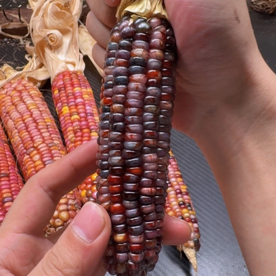 不***觉柏香籽/百香籽吊坠