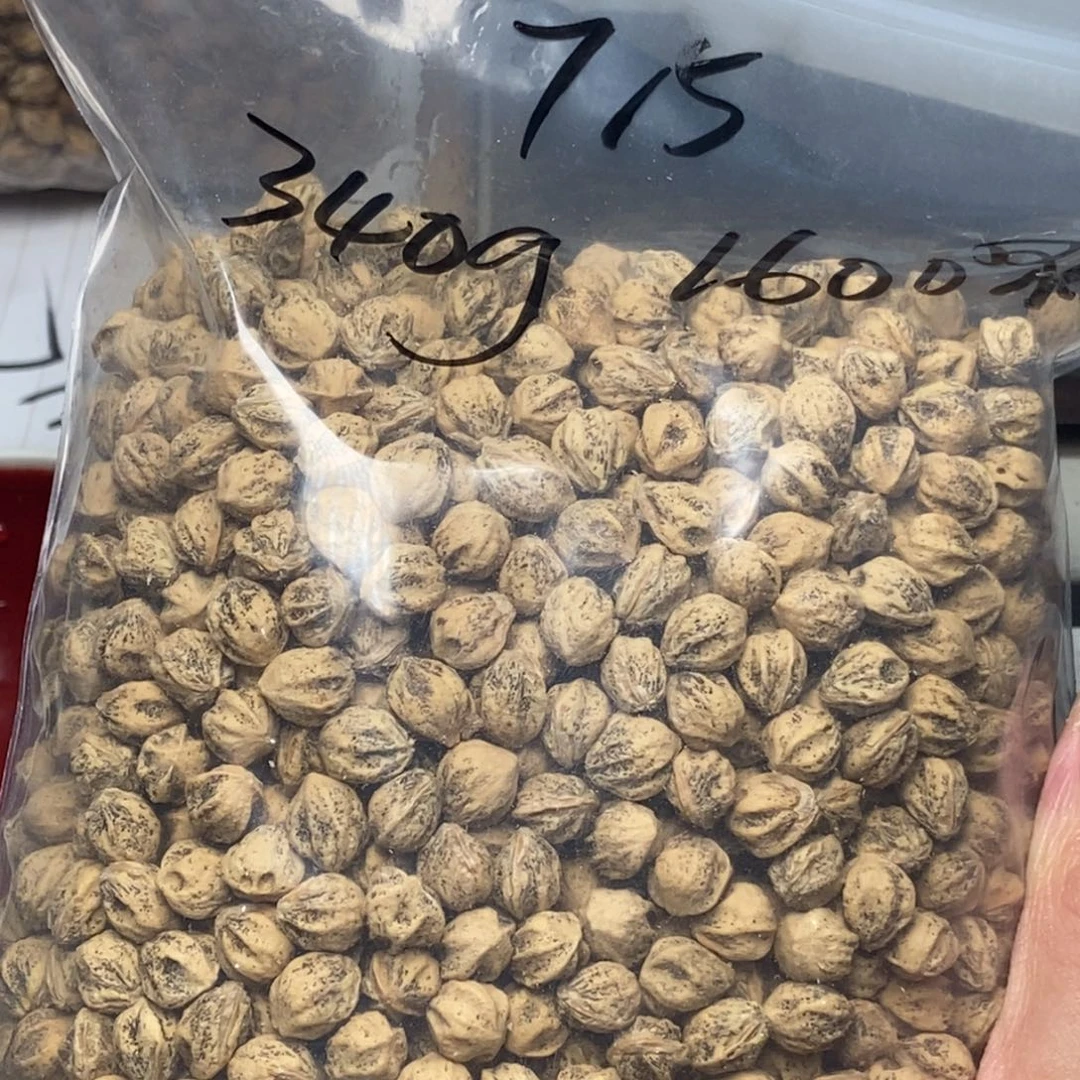 柏香籽/百香籽吊坠