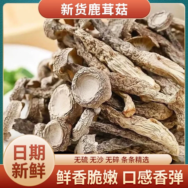 【鹿茸菇】深山采摘 自然晾晒