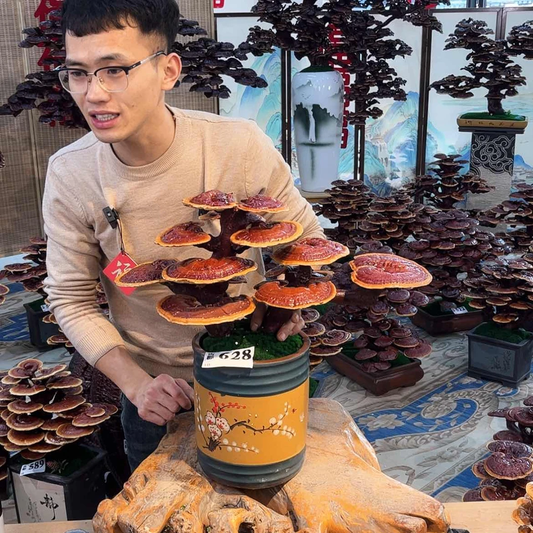 【闪购商品】88889