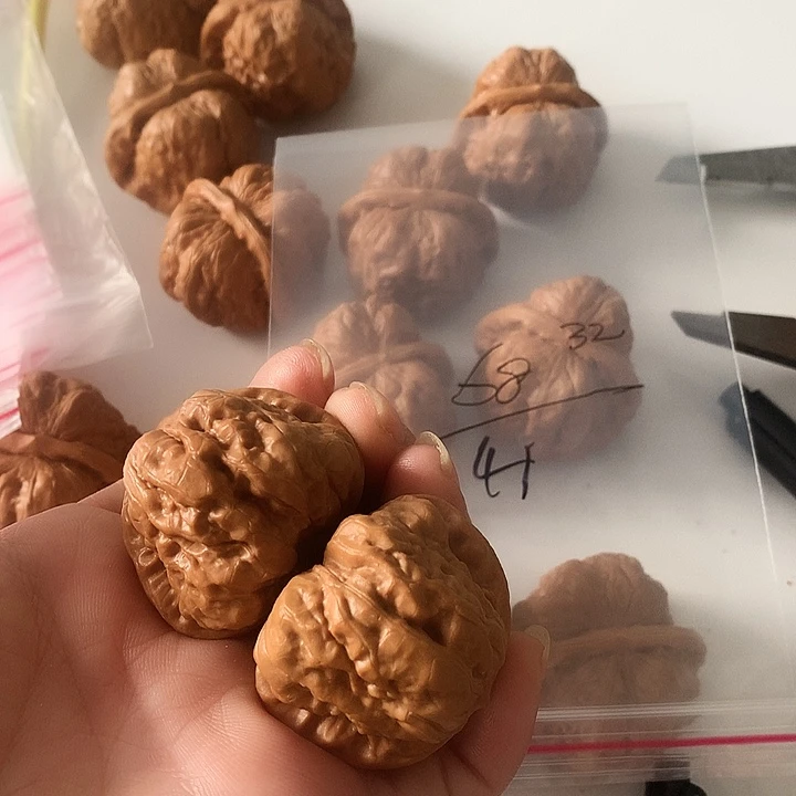 吊坠文玩核桃边41左右