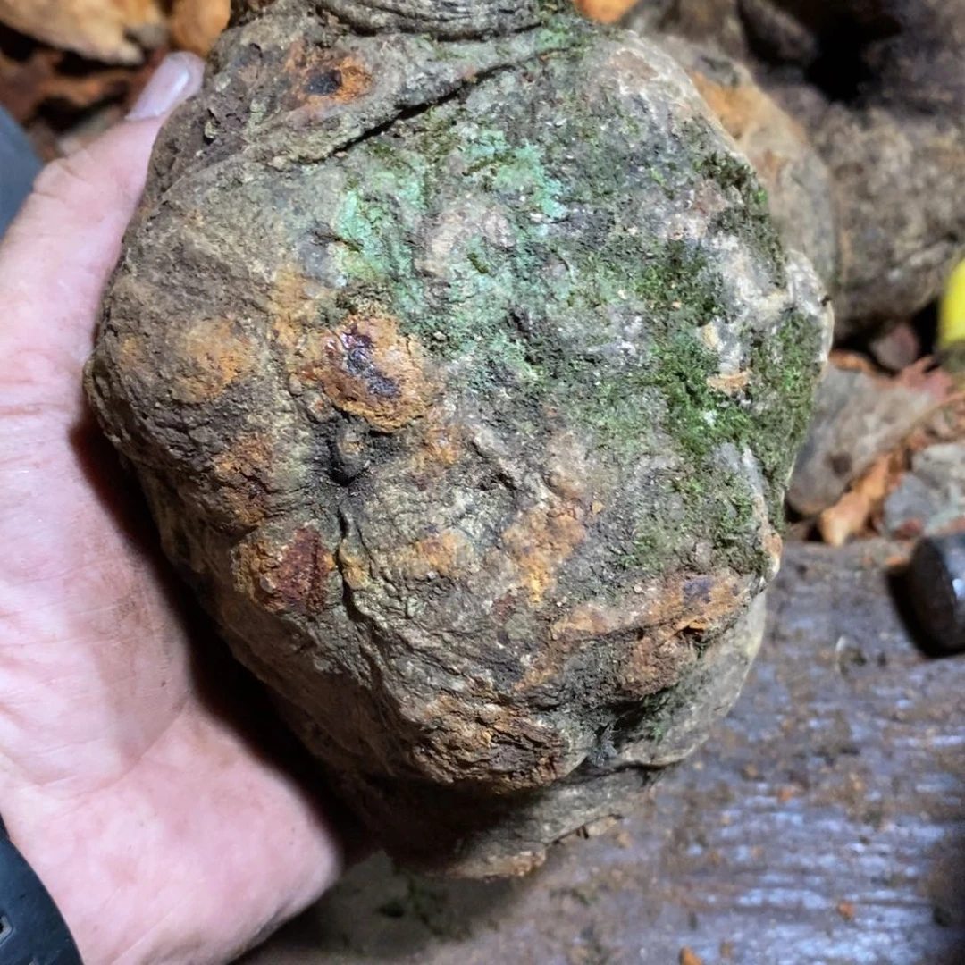 荔枝木水**铭荔枝木原材料