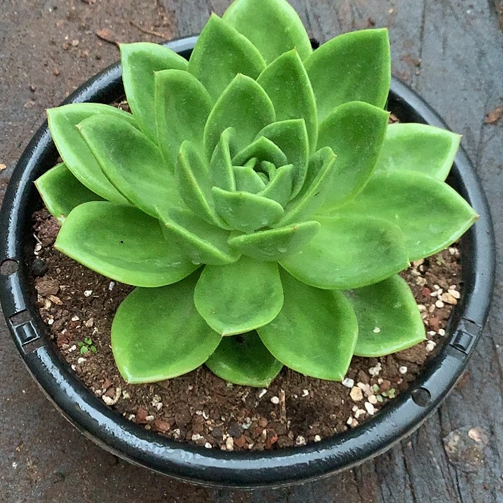 每周特价活动开始啦