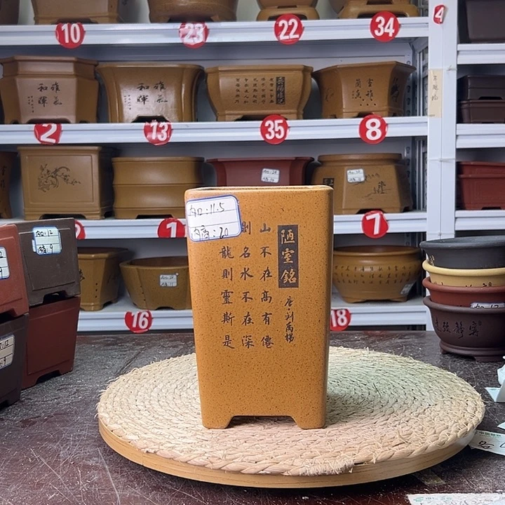 花盆紫砂蛇年大吉
