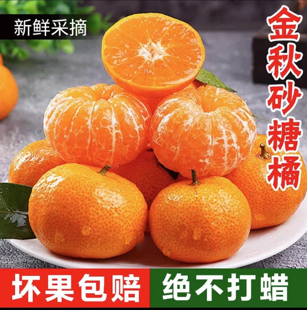 【净重五斤.坏果包赔】湖北砂糖橘沙糖桔纯甜薄皮橘子新鲜无籽桔子z