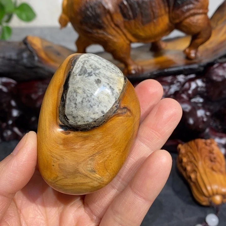 柏木延*安111122221111111