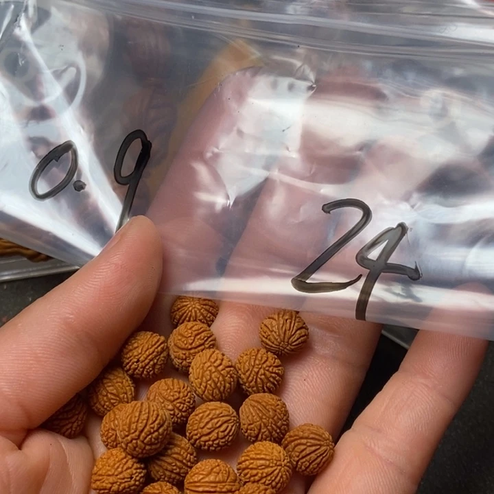 吊坠桃核陕西秦岭山桃核