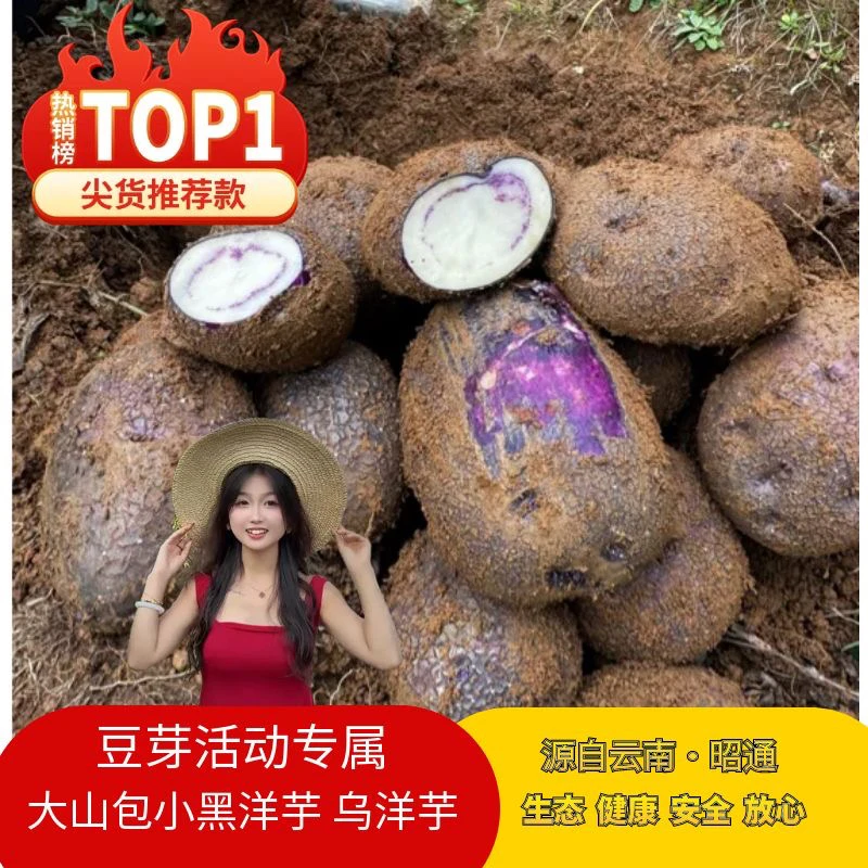 云南昭通大山包小黑转心乌洋芋七彩土豆粉粉糯糯