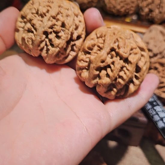 吊坠文玩核桃43粗筋