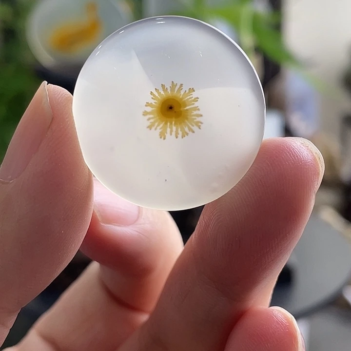 玛瑙/玉髓未镶嵌珠宝半成品