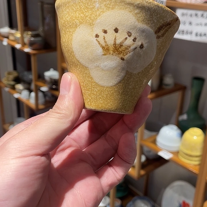 一***鱼瓷片瓷器美美美美美美美美美