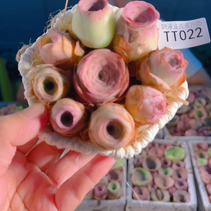 TT022。玫瑰混花篮