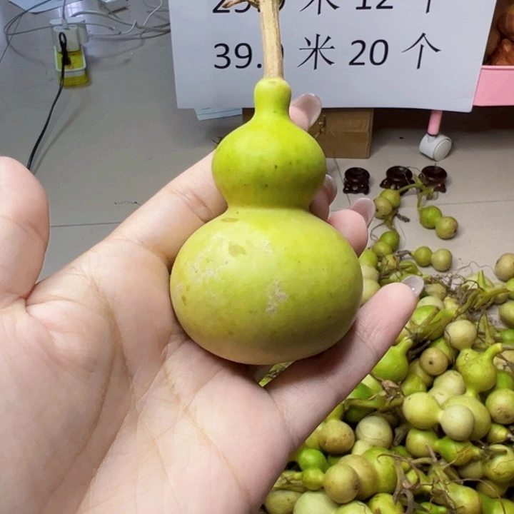 葫芦中国大陆?****?