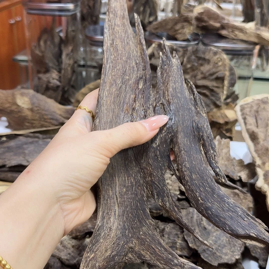 用***9沉香沉香碎屑海南树心油虫漏101克