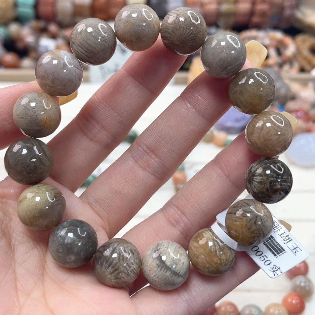 未镶嵌手链硅化珊瑚（珊瑚玉）十*?459