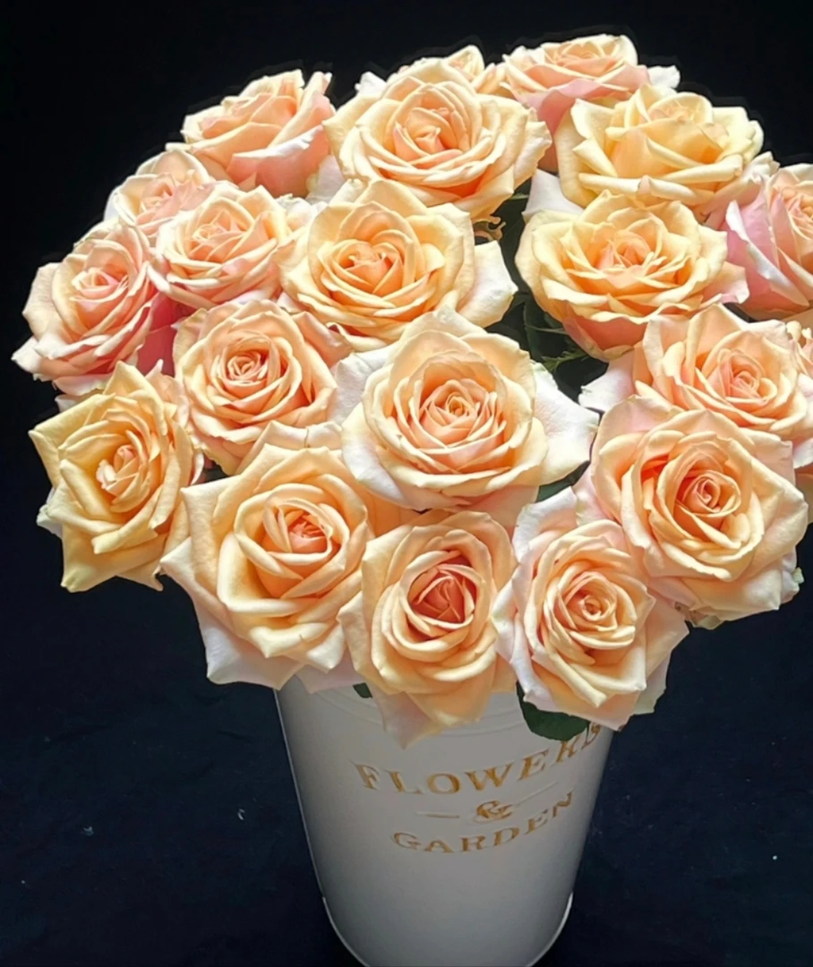 鲜花【迪威娜】家庭同地址两单顺丰或京东送货上门+配草1扎