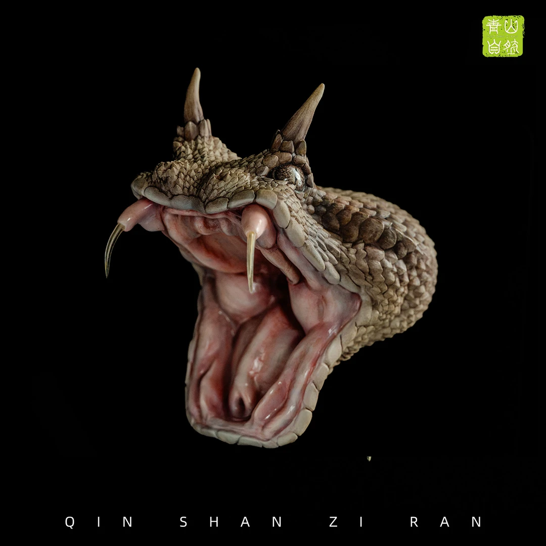 超拟真撒哈拉角奎蛇模型头雕摆件（现货仅剩1）！