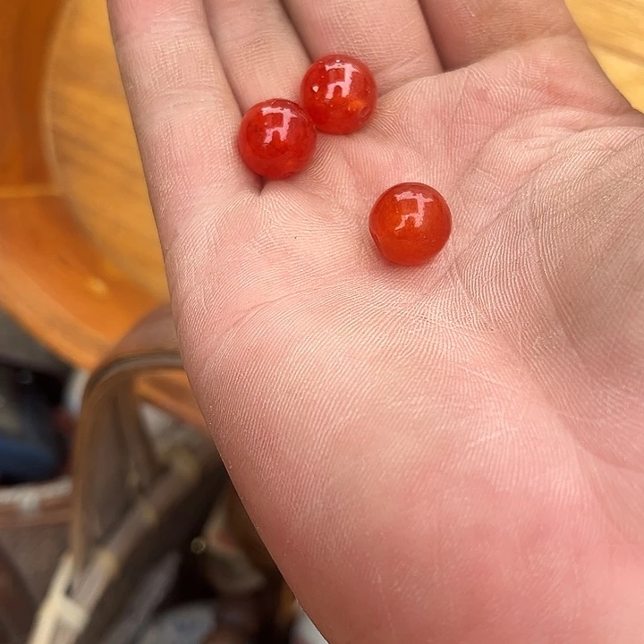 核桃木/黑胡桃（胡桃木）春*