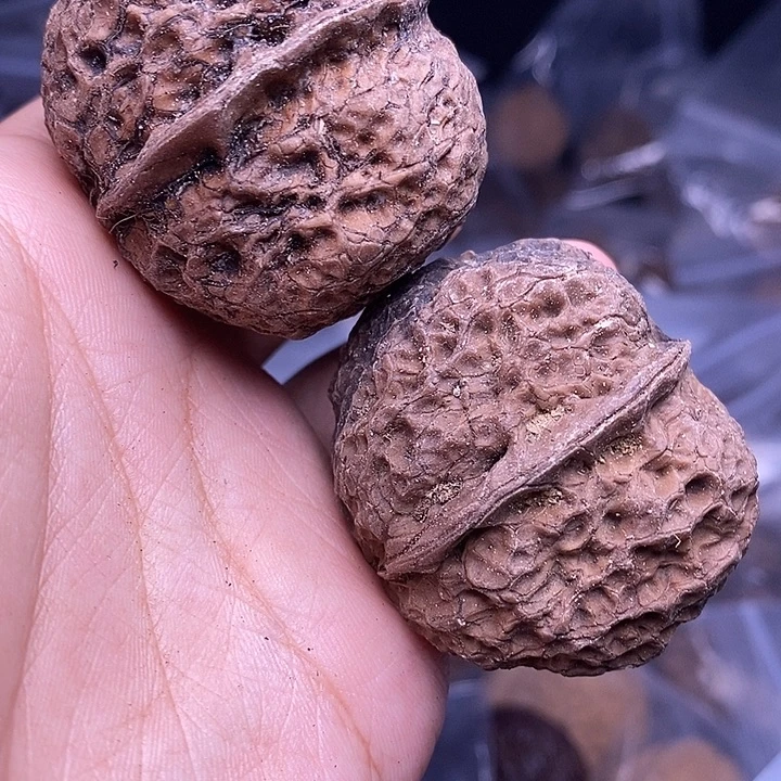 文玩核桃把件   47