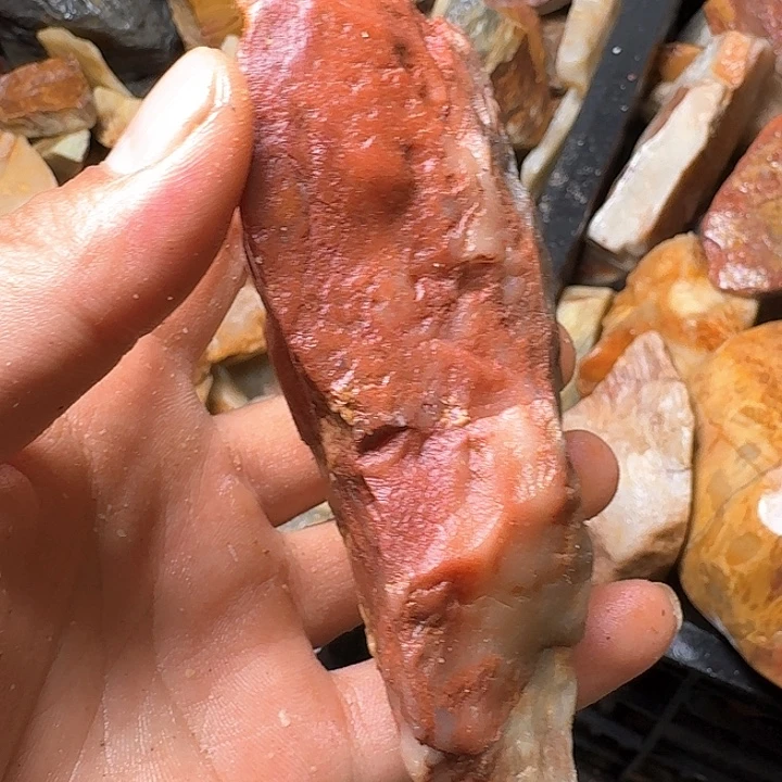 龙***室寿山石寿山石的种类